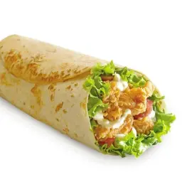 Saroukh Zinger
